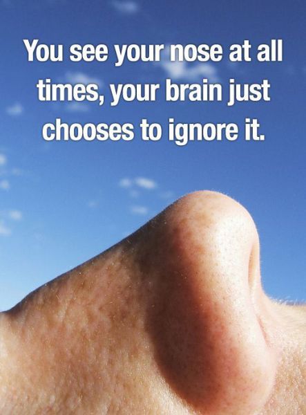 My nose takes a break now.. - meme