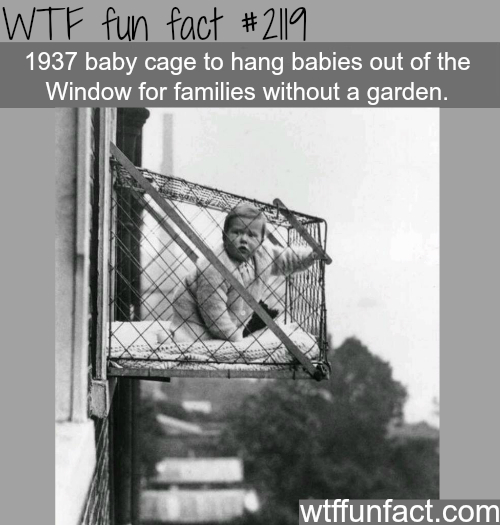 Would you hang our child outside?? I'd rather not! - meme