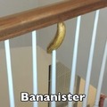 Banana + Banister