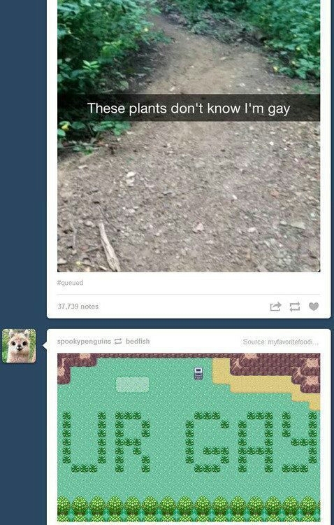 dat plants - meme