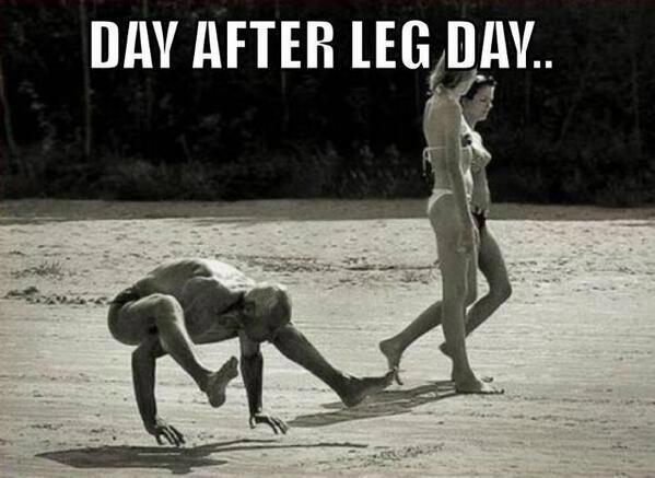 I hate the day after leg day... - meme