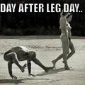 I hate the day after leg day...