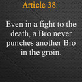 a page from The Bro Code