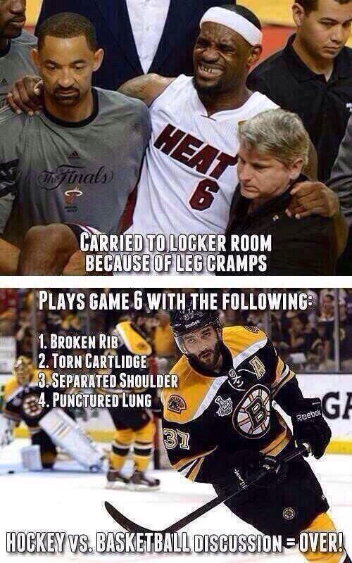 Hockey is a true sport - meme