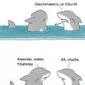 Tiburones quien los entiende