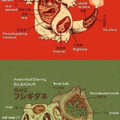 anatomie pokemon
