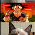 Goku el mejor