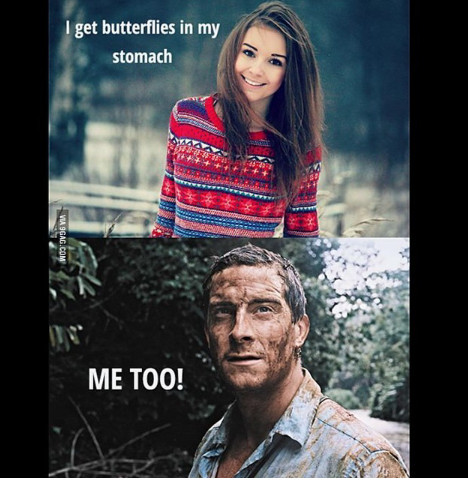 Not that kind of butterflies! - meme