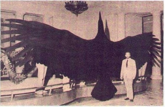 The largest flying bird ever discovered, the Argentavis - meme