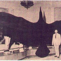 The largest flying bird ever discovered, the Argentavis