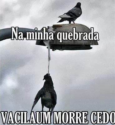 O pombo cagando no tabuleiro O que pode vir por aí?