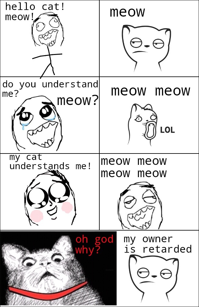 talking with cat - meme