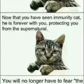 Immunity cat