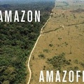 Amazon/Amazoff