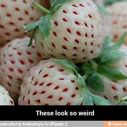 strawberries - meme