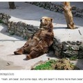 bear in deep thought