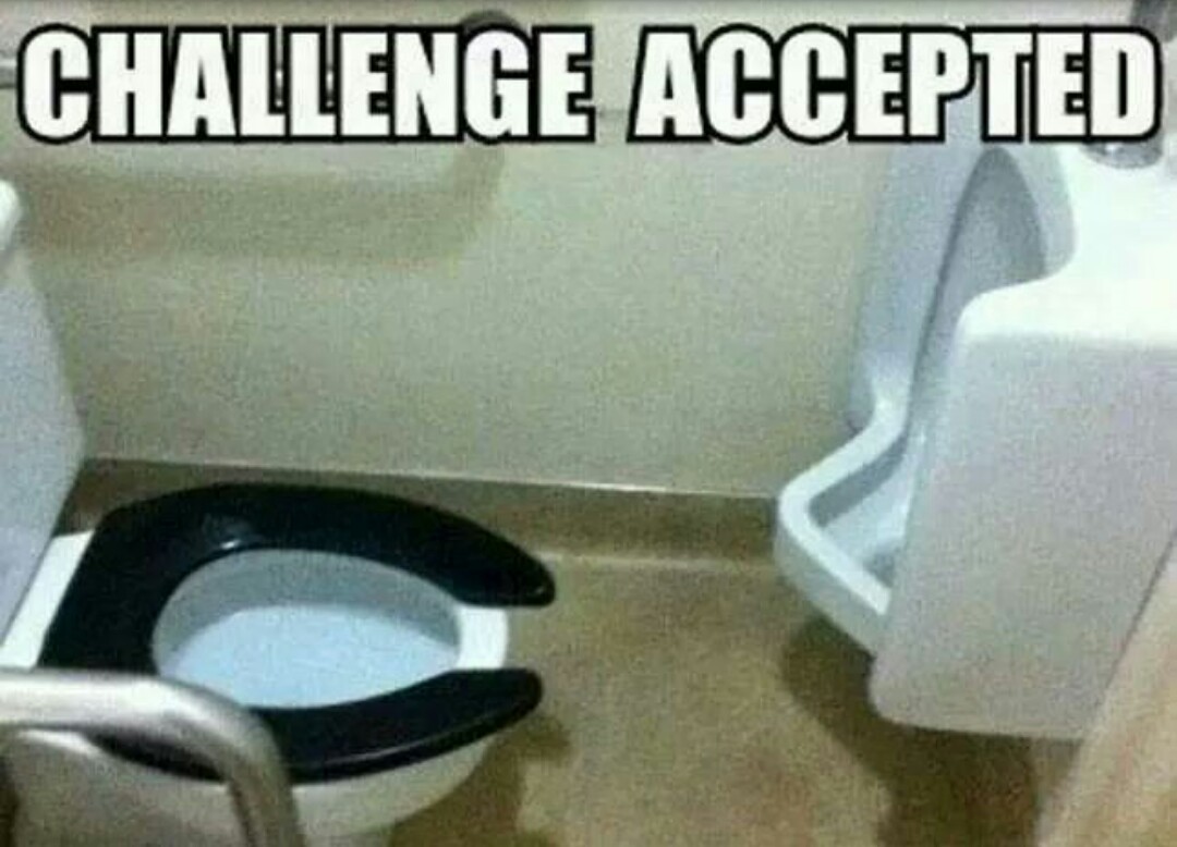 Challenge Accepted! - meme