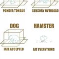 The hamster one is so my hamster XD