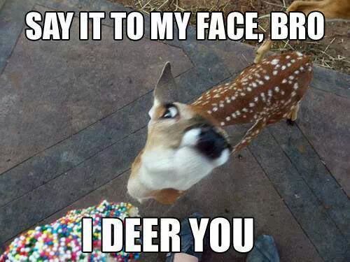 i deer you - meme