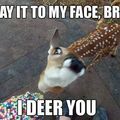 i deer you