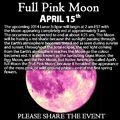 pink moon?