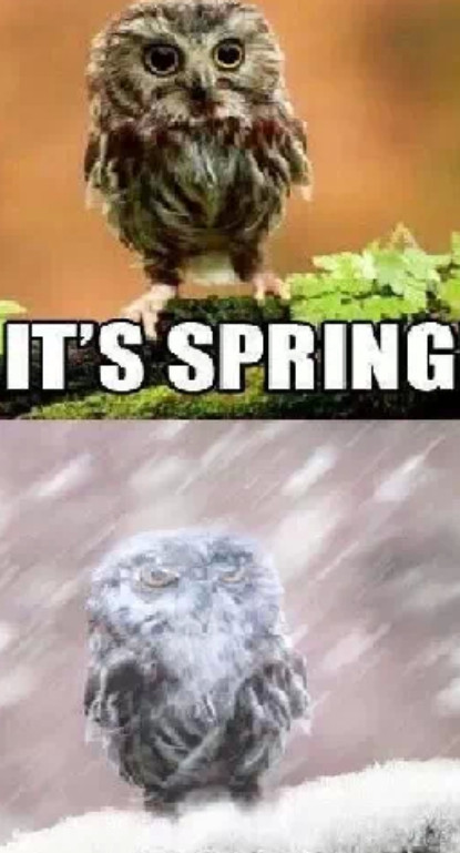 whole lot of nope going in with spring. - Meme by willyum_2013 :) Memedroid