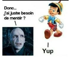 Voldemort et Pinocchio  - meme