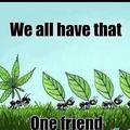who is that one friend