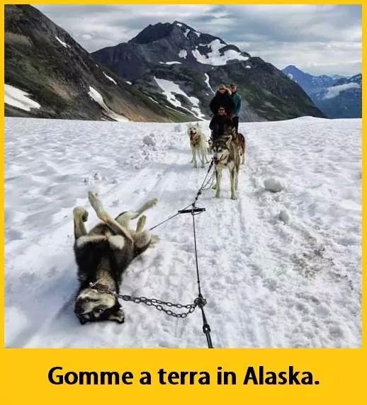 Alaska's story - meme
