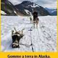 Alaska's story