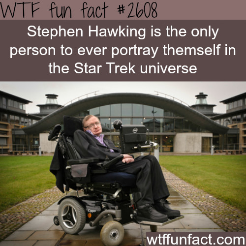 Stephen Hawking - meme