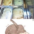 Whats your favourite ice cream flavour?