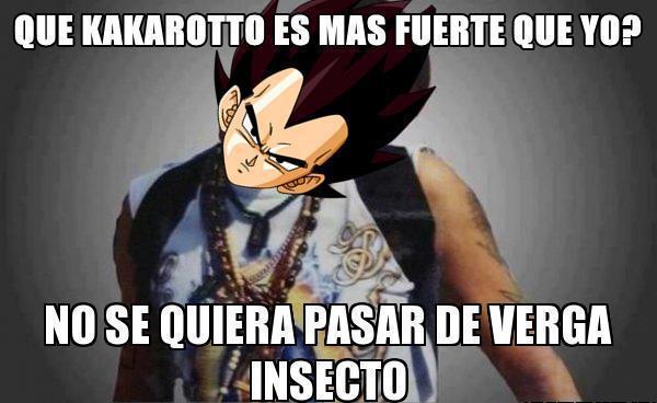 Insectos!! - meme