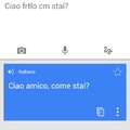 Anche google traduttore si attrezza
