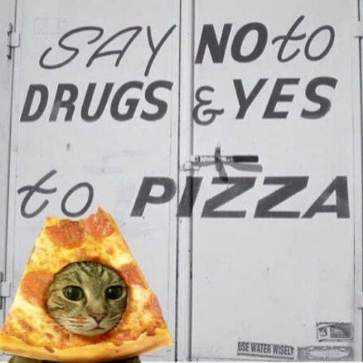 PizzaCat - meme