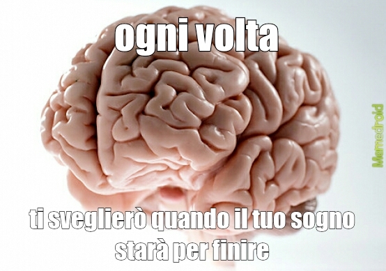 cervello... - meme