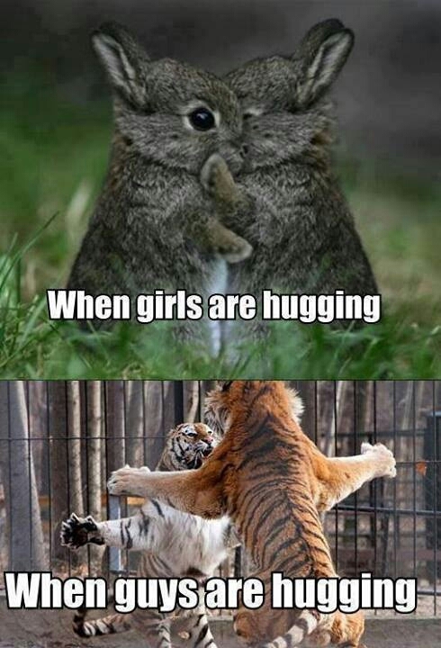 hugs are for everyone - meme