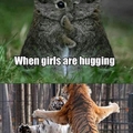 hugs are for everyone
