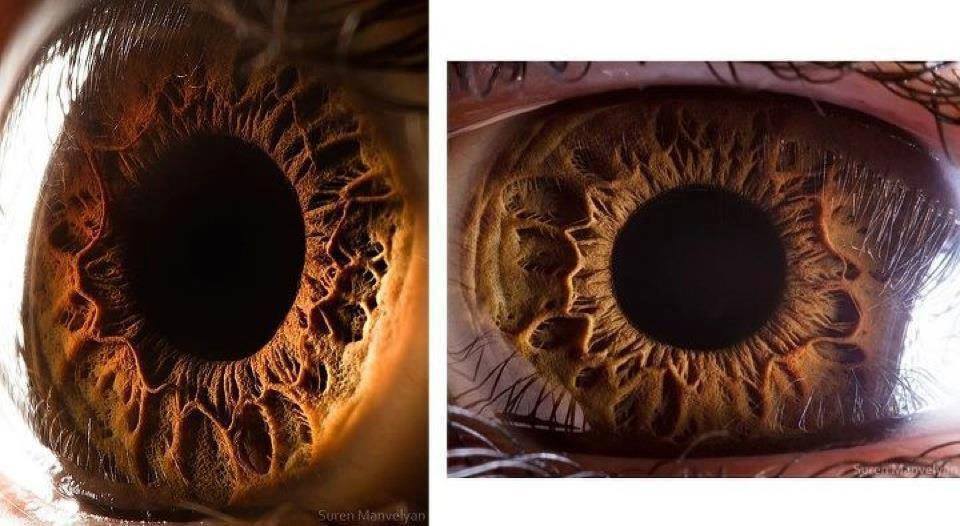 Title is Human eye  ... ! - meme
