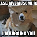 i'm bagging you