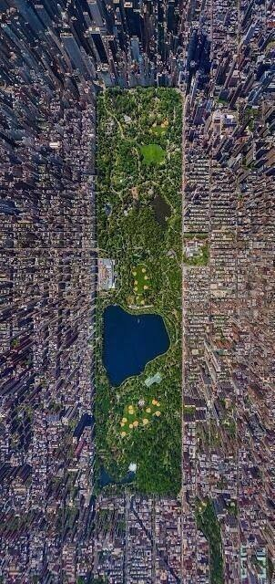 Central Park. Part de verdure dans ce monde urbain. - meme