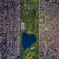 Central Park. Part de verdure dans ce monde urbain.