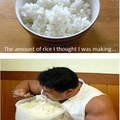 I've had enough rice