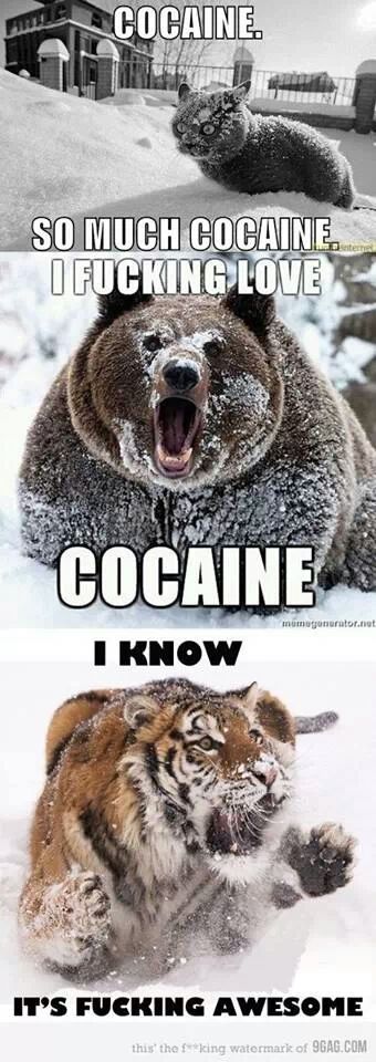 cocaine - meme