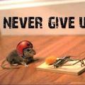 ''Never don't give up'' ... Saw this on a fail tattoo once.