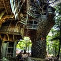 dream tree house