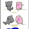 la verdad de Nyan cat