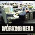 working dead