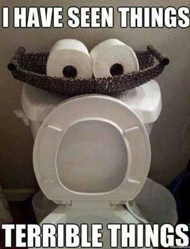 The s**T I've seen man. - meme