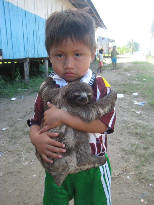 Just a kid and his happy pet sloth (: - meme